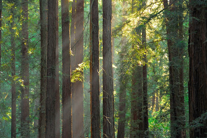 Reinhardt Redwood Regional Park