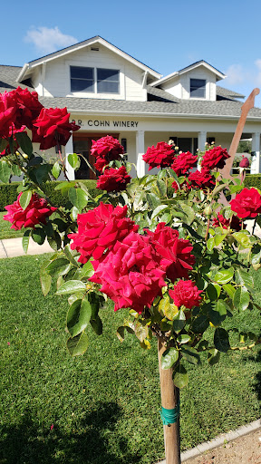 B.R. Cohn Winery and Olive Oil Company image