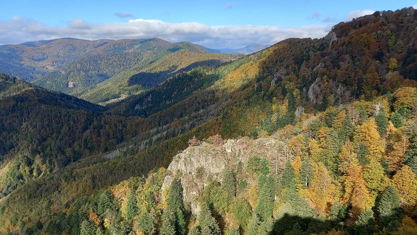 Photo n° 5 de l'avis de Claude.o fait le 20/10/2022 à 15:06