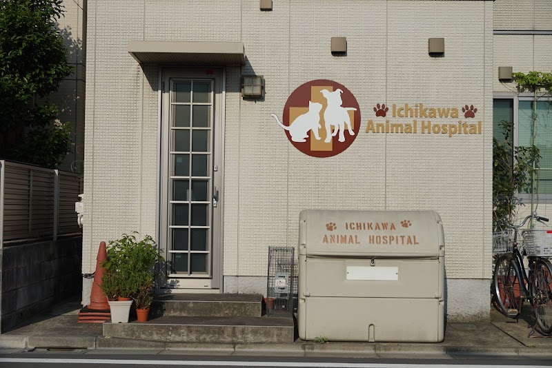 市川動物病院