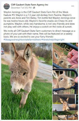 Auto Insurance Agency «State Farm: Cliff Gaubert», reviews and photos