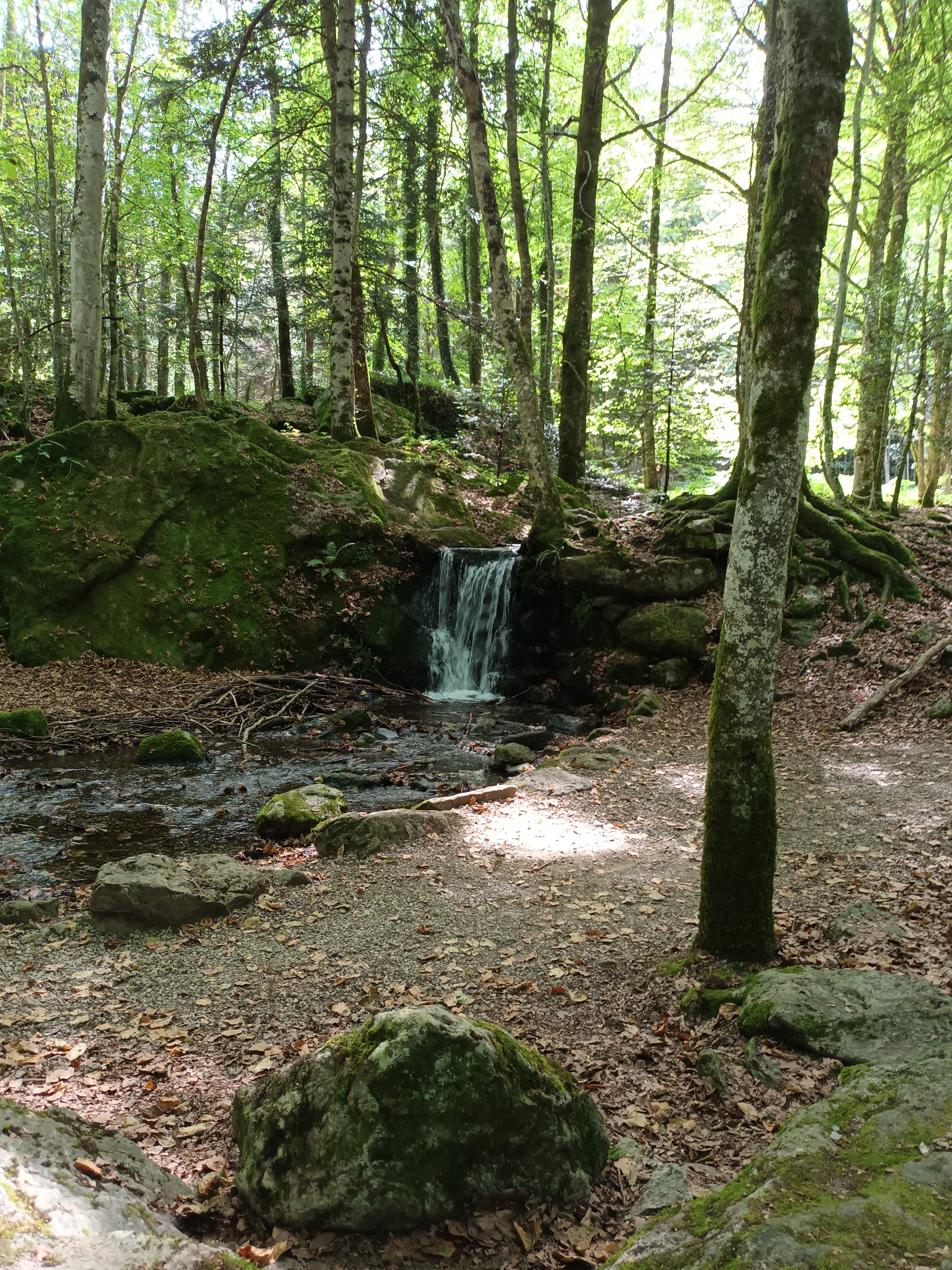 Photo n° 4 de l'avis de Hélène.i fait le 25/08/2023 à 19:07