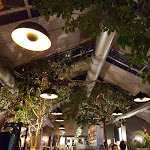 Photo n°1 de l'avis de Helga.a fait le 09/03/2020 à 19:56 sur le  Das Treibhaus à Hamburg