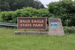 Bald Eagle State Park image