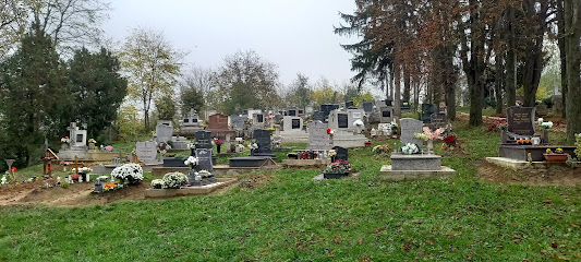 kaposhomoki temető