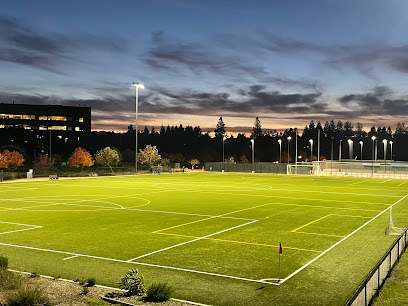 Google Athletic Recreation Field Park (GARField)