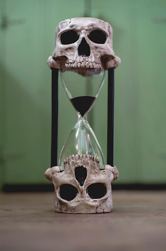 Gift Shop «Talulah Jones», reviews and photos, 1122 E 17th Ave, Denver, CO 80218, USA