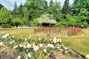 Roath Park Rose Garden image