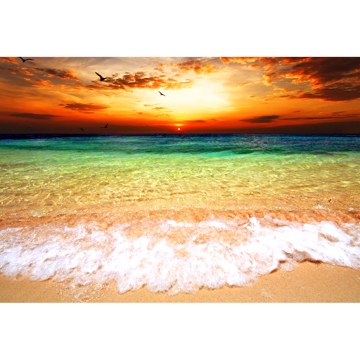 Tobacco Shop «Tobacco &more smoke & vape shop», reviews and photos, 11924 Seminole Blvd, Largo, FL 33778, USA