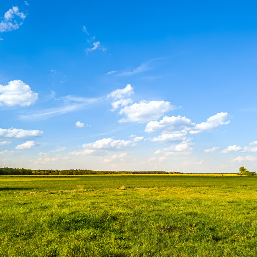 Flugplatz Herzogenaurach (EDQH)