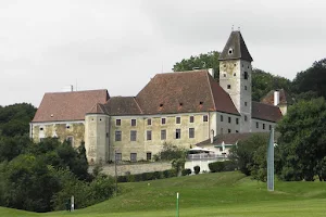 Schloss Goldegg image