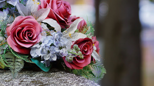 1529 Hempstead Turnpike, Elmont, NY 11003, USA