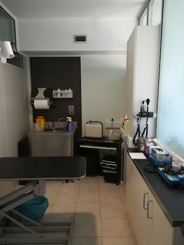 Clinica Medico Veterinaria da Se II Lda - Aveiro