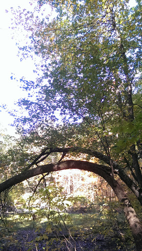 Park «Vietnam Veterans Park», reviews and photos, Treble Cove Rd, Billerica, MA 01821, USA