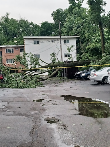 Stadium «Roettger Field», reviews and photos, 124 Anna St, Lockland, OH 45215, USA