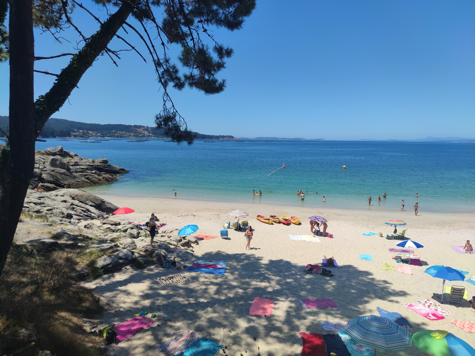 Zdjęcie Areacova beach - popularne miejsce wśród znawców relaksu