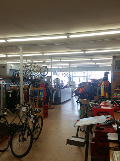 Bicycle Store «Bay Area Cycling -Pasadena», reviews and photos, 2049 S Richey St, Pasadena, TX 77502, USA