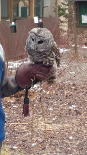 Tourist Attraction «Connecticut Audubon Center», reviews and photos, 1361 Main St, Glastonbury, CT 06033, USA