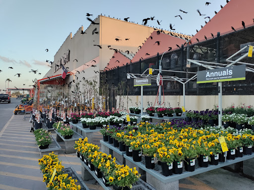 Home Improvement Store «The Home Depot», reviews and photos, 4710 S Expressway 83, Harlingen, TX 78552, USA