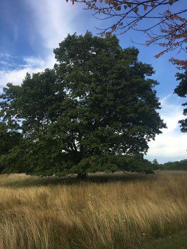 History Museum «Eustis Estate Museum and Study Center», reviews and photos, 1424 Canton Ave, Milton, MA 02186, USA