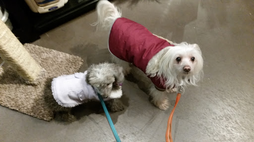 Pet Supply Store «Health Mutt», reviews and photos, 1207 NE 65th St, Seattle, WA 98115, USA