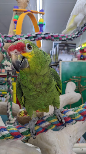 Pet Store «Leesburg Pet Center», reviews and photos, 959 N 14th St, Leesburg, FL 34748, USA