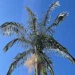 Photo n°1 de l'avis de Barry.o fait le 12/03/2022 à 10:12 sur le  Pestana Madeira Beach Club à Funchal