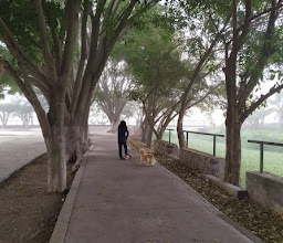 colonial del Valle Park photo