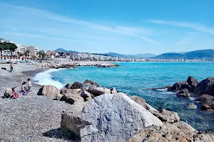 Plage Publique de la Lanterne,chiens autorisés image