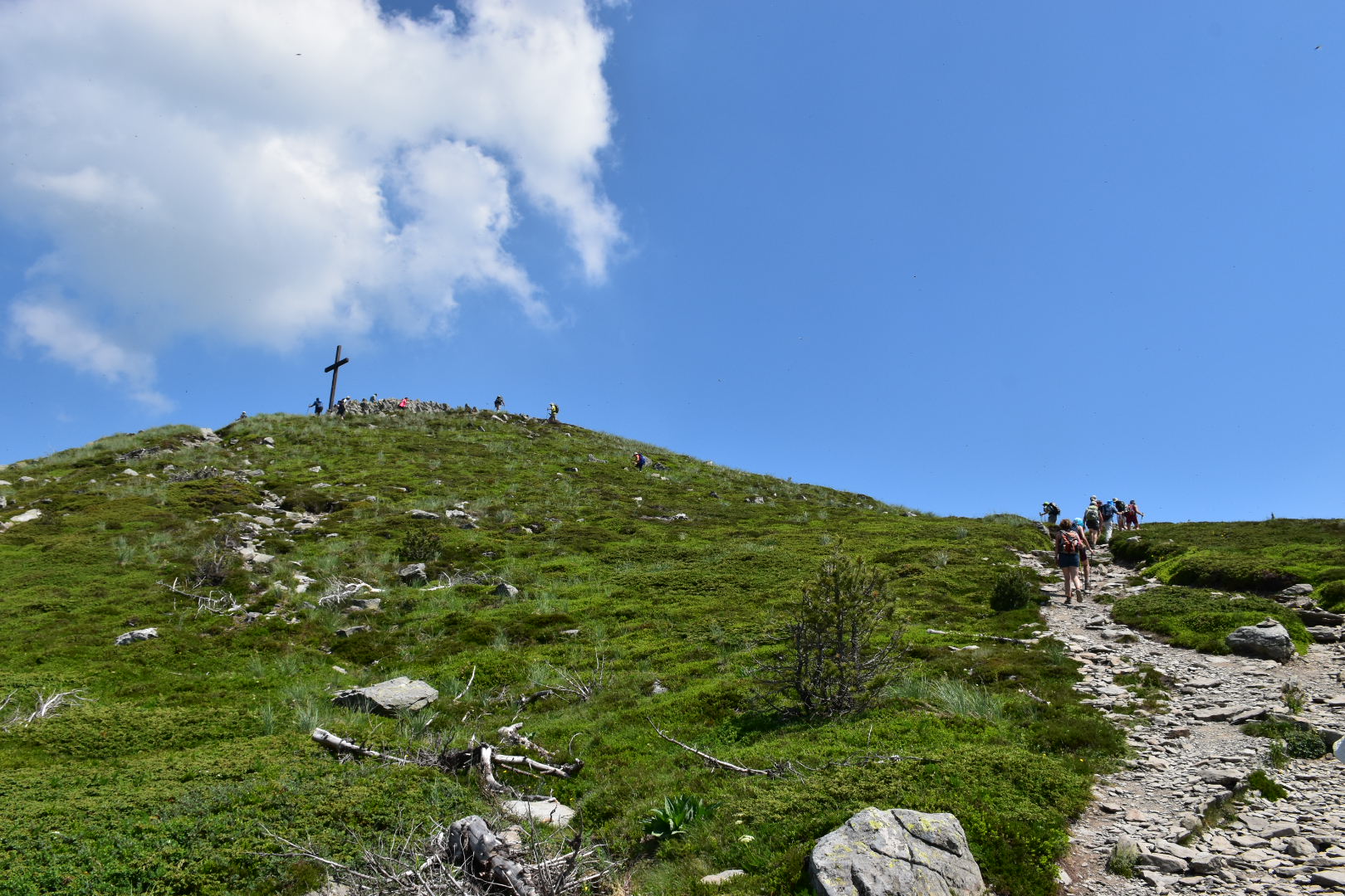 Photo n° 15 de l'avis de Muriel.e fait le 02/07/2019 à 20:00