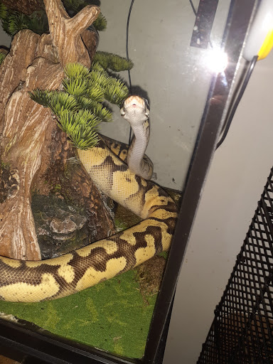 Pet Supply Store «Petco Animal Supplies», reviews and photos, 18578 Coastal Hwy #12, Rehoboth Beach, DE 19971, USA