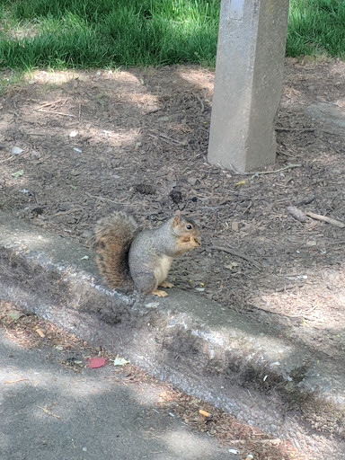 Park «Creston Park», reviews and photos, SE 44th Ave & Powell Blvd, Portland, OR 97206, USA