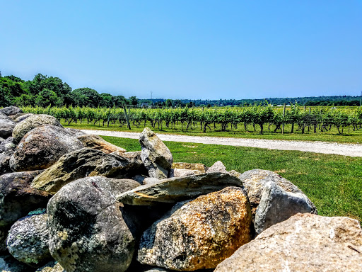 Vineyard «Westport Rivers Vineyard», reviews and photos, 417 Hixbridge Rd, Westport, MA 02790, USA