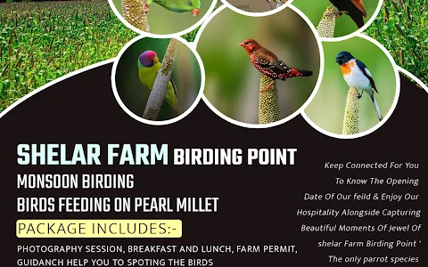 Shelar farm birding point image