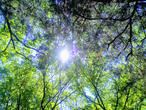 Park «J.W. Dunlop Sports Center», reviews and photos, 1500 NW Green Oaks Blvd, Arlington, TX 76012, USA