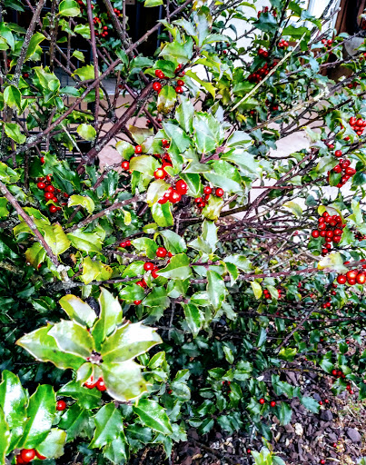 Grocery Store «Country Store The», reviews and photos, 3140 Mt Joy-Manheim Rd, Mount Joy, PA 17552, USA