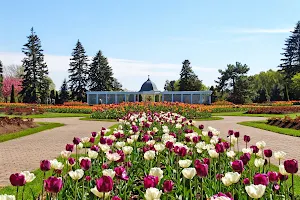 Niagara Parks Botanical Gardens image