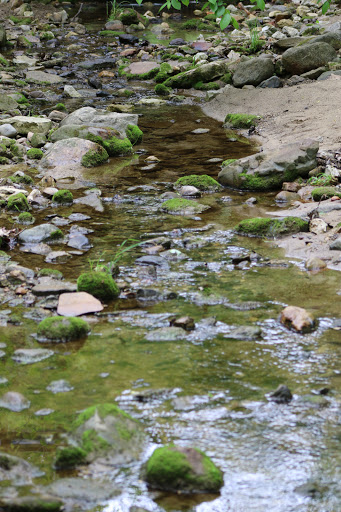 Nature Preserve «Kokiwanee Nature Preserve», reviews and photos, 5825 E 50 S, Lagro, IN 46941, USA