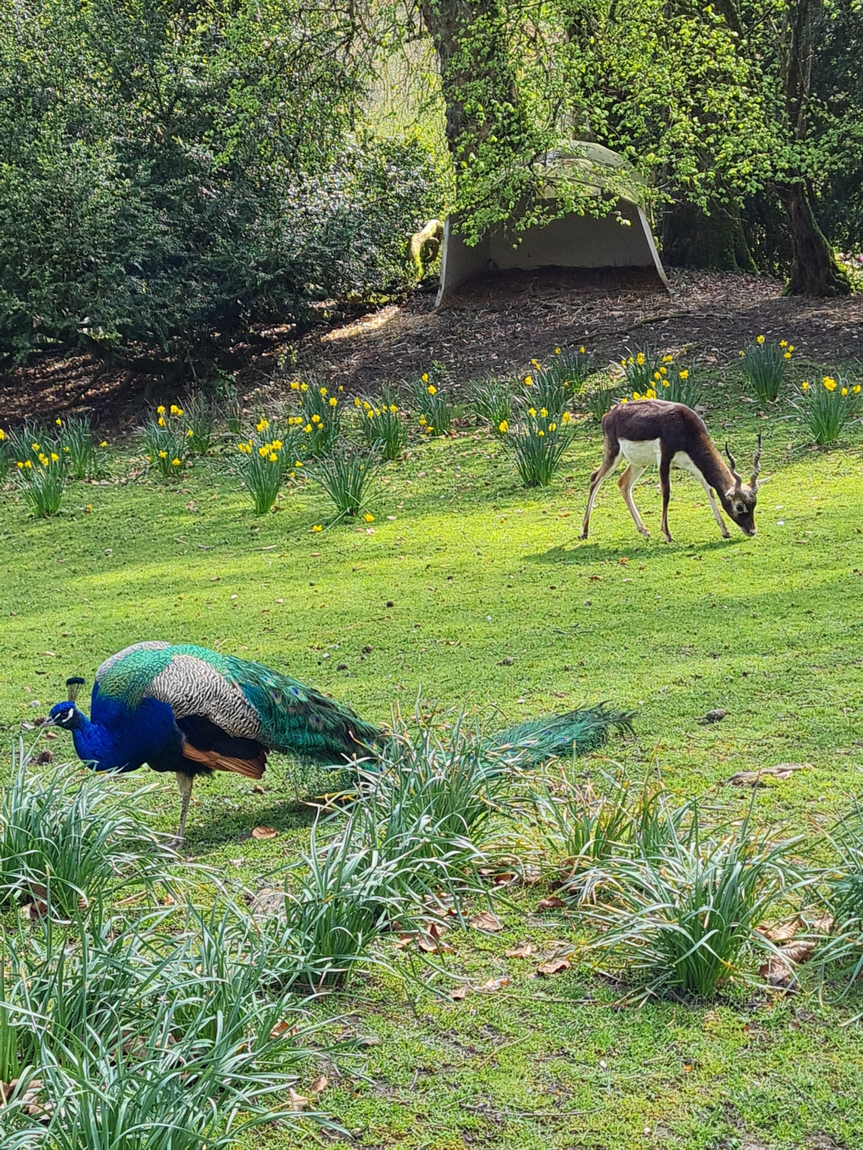 Photo n° 2 de l'avis de Stephanie.i fait le 07/05/2023 à 08:53