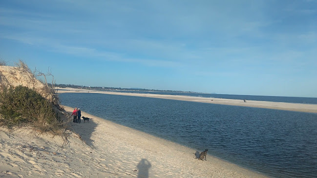 Médanos Parque del Plata - Canelones