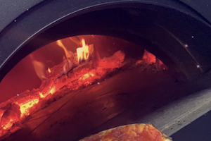 wood fired pizza