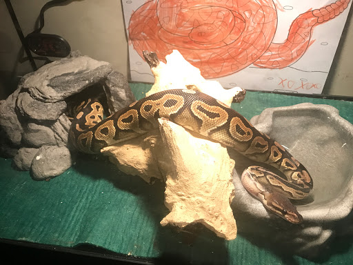 Pet Supply Store «Petco Animal Supplies», reviews and photos, 1333 Centennial Ave, Piscataway Township, NJ 08854, USA