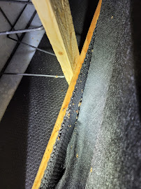 Golden Touch Pest Services Inc - Photo 5 - Car repair in Bronx, NY, Bronx