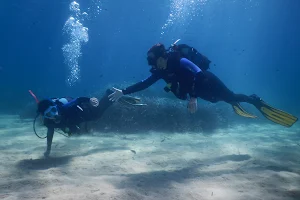 Shark Fin Scuba Diving Center image