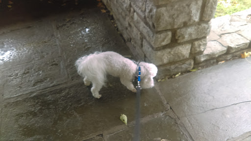 Park «Mt. Echo Park», reviews and photos, 202 Crestline Ave, Cincinnati, OH 45205, USA