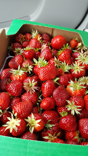 Shopping Mall «Hawks Prairie Village Mall», reviews and photos, 1243 Marvin Rd NE, Lacey, WA 98516, USA