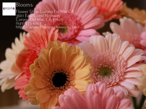 Florist «Blooms», reviews and photos, 3601 East Coast Hwy, Corona Del Mar, CA 92625, USA