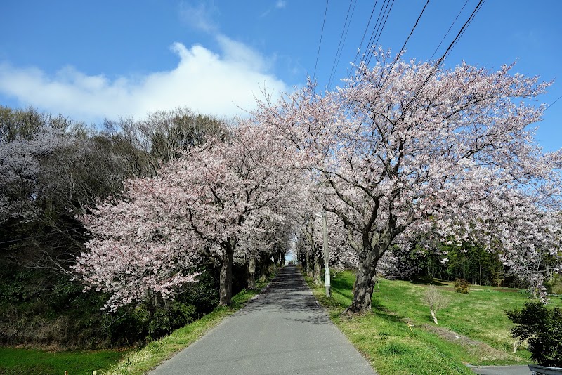 茨城県立土浦第三高等学校