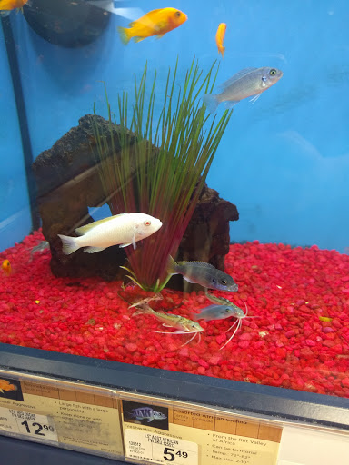 Pet Supply Store «Petco Animal Supplies», reviews and photos, 3680 Spencer Hwy, Pasadena, TX 77504, USA