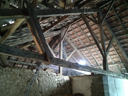 SD TRAITEMENT TERMITES